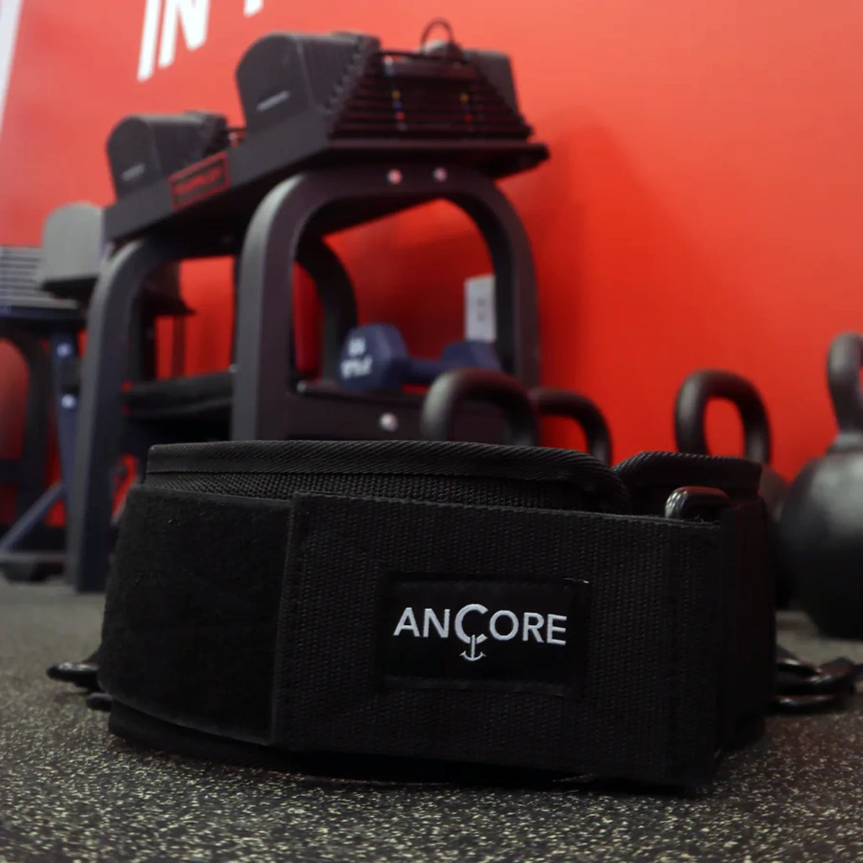 ANCORE Waist Belt Attachment